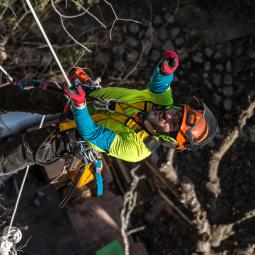 Débroussaillement falaise lagorce
