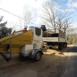 Broyeur Saelen Puma 35d 1T5