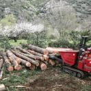 bucheronnage ardeche