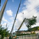 abattage elagage vals les bains