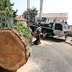 Valoristation de bois à Chirols