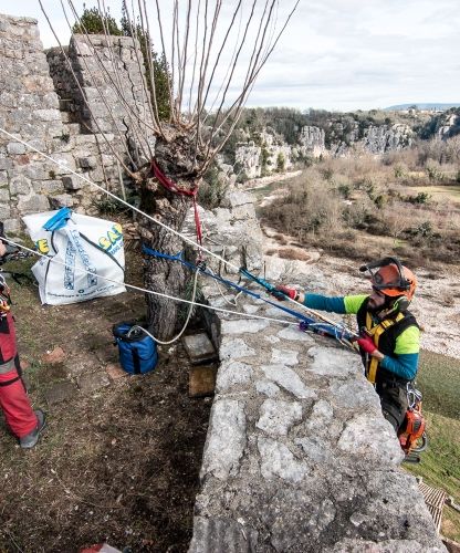 Travaux de purge de végétaux en falaise