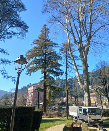 Sequoia Vals les bains