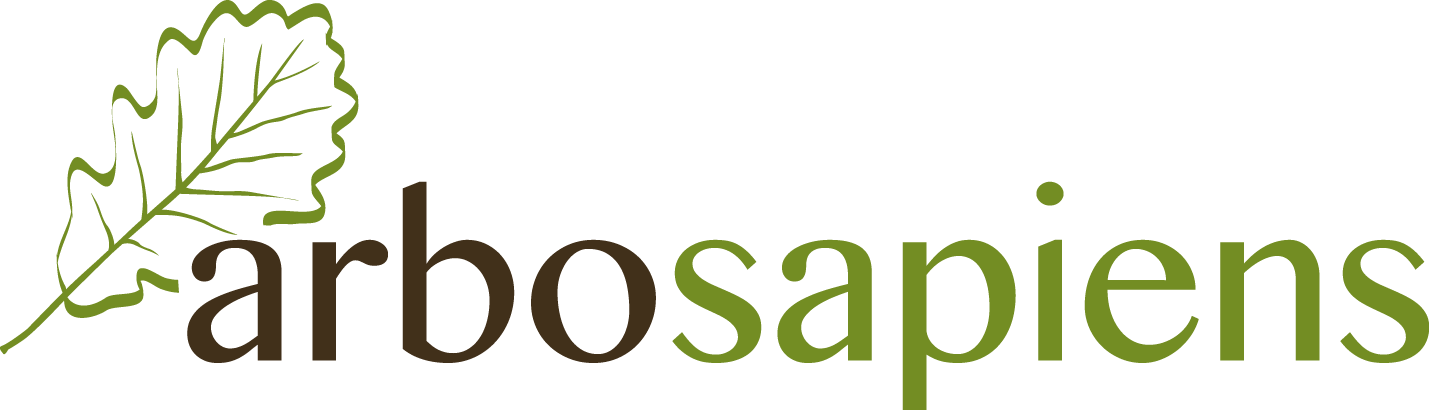 Arbosapiens logo